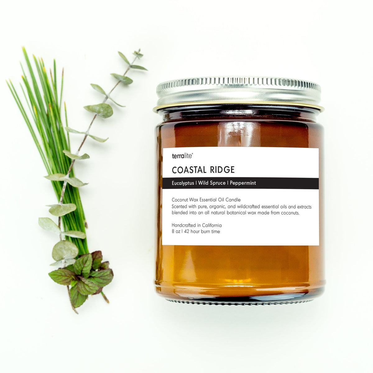 Coastal Ridge essential oil candle scented with eucalyptus, spruce, peppermint essential oils.