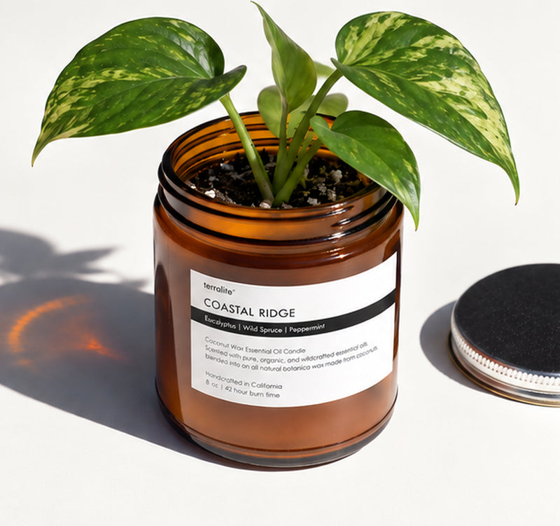 Candle care: wash and repurpose