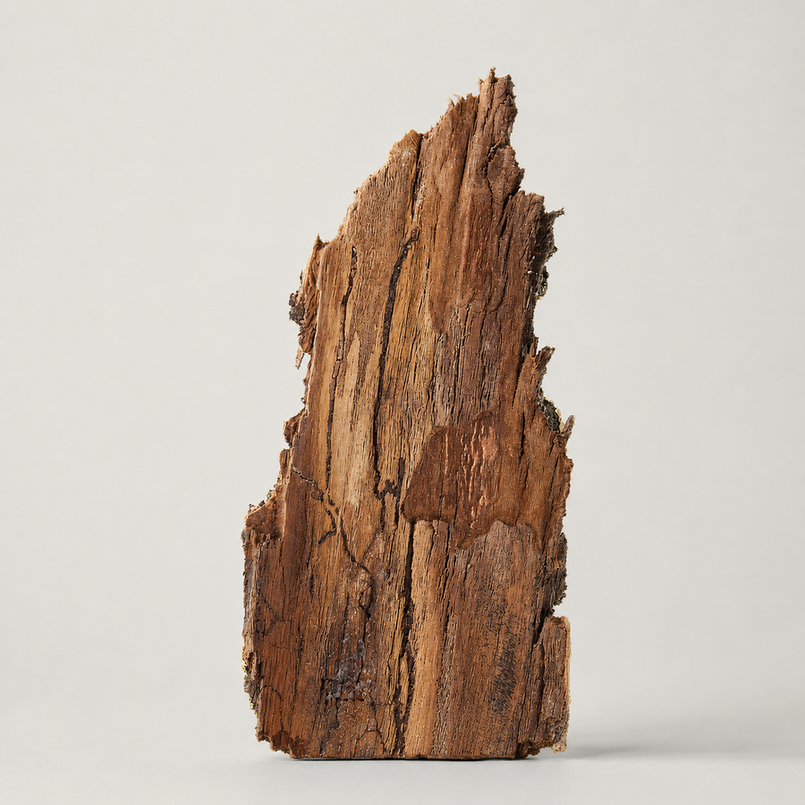 Cedarwood