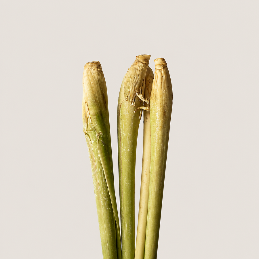 Lemongrass