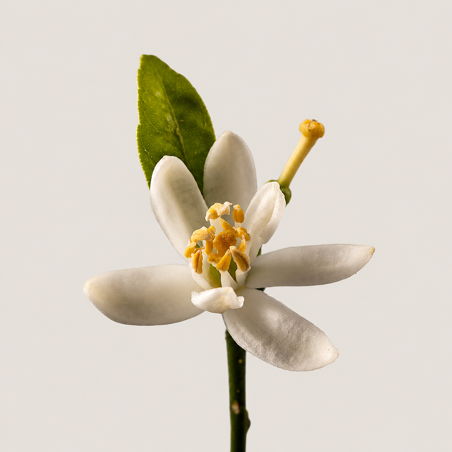 Neroli