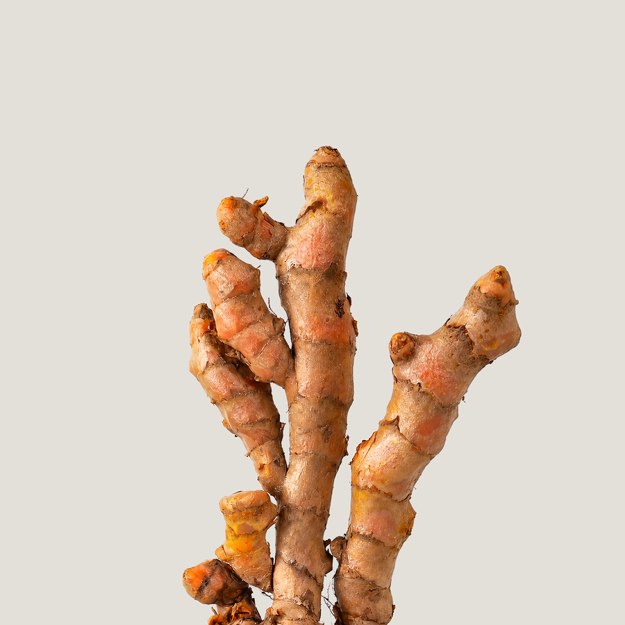 Turmeric Root